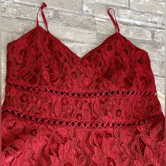 Francesca’s Collections: Mi Ami Dress - Picture 10 of 10